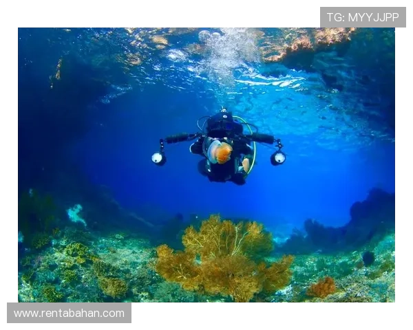 通过海洋之神线上登陆感受沉浸式海洋探险乐趣